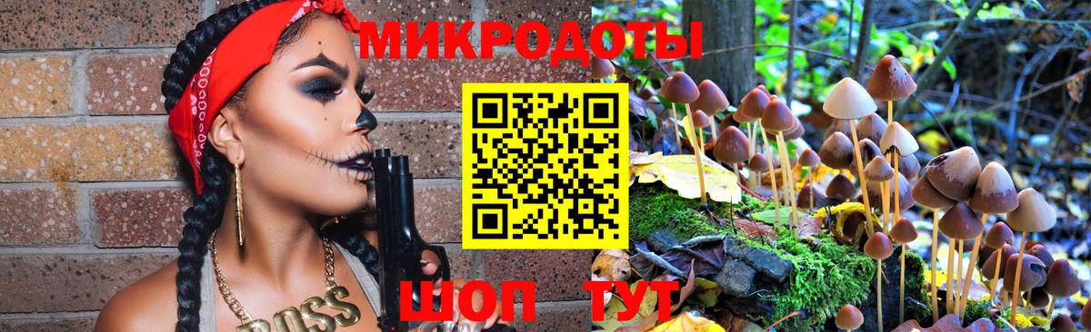 Псилоцибиновые грибы ЛСД Новороссийск