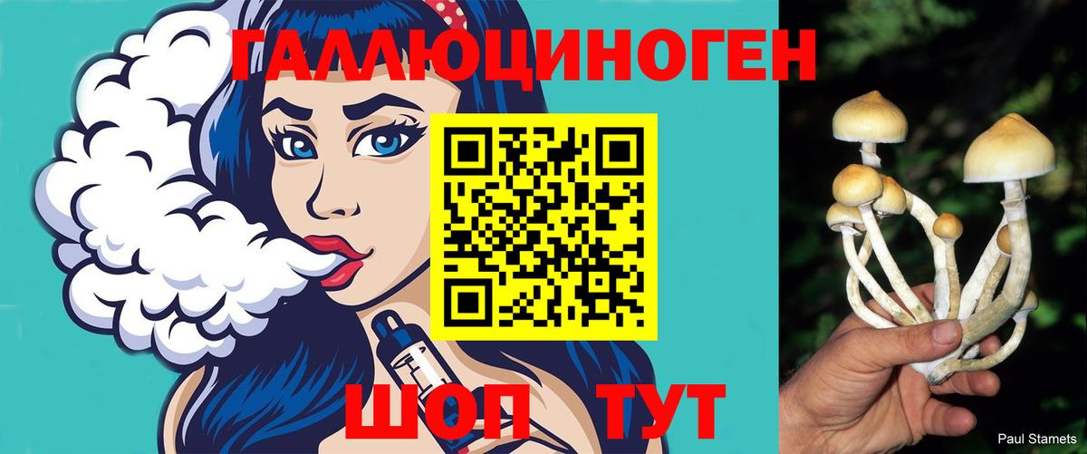 Новороссийск  Галлюциногенные грибы прущие грибы  Вход с VPN 