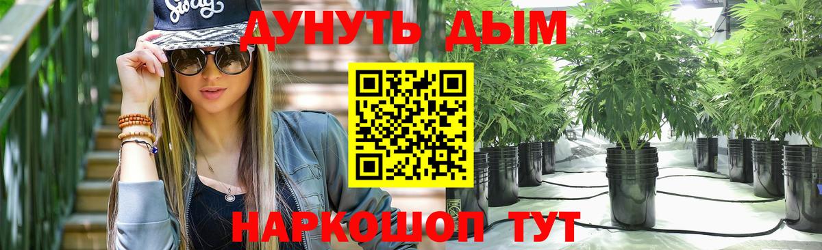 Канабис White Widow  Каннабис планчик  Шишки марихуана Ganja  Новороссийск  Марихуана SATIVA & INDICA  Вход с VPN 